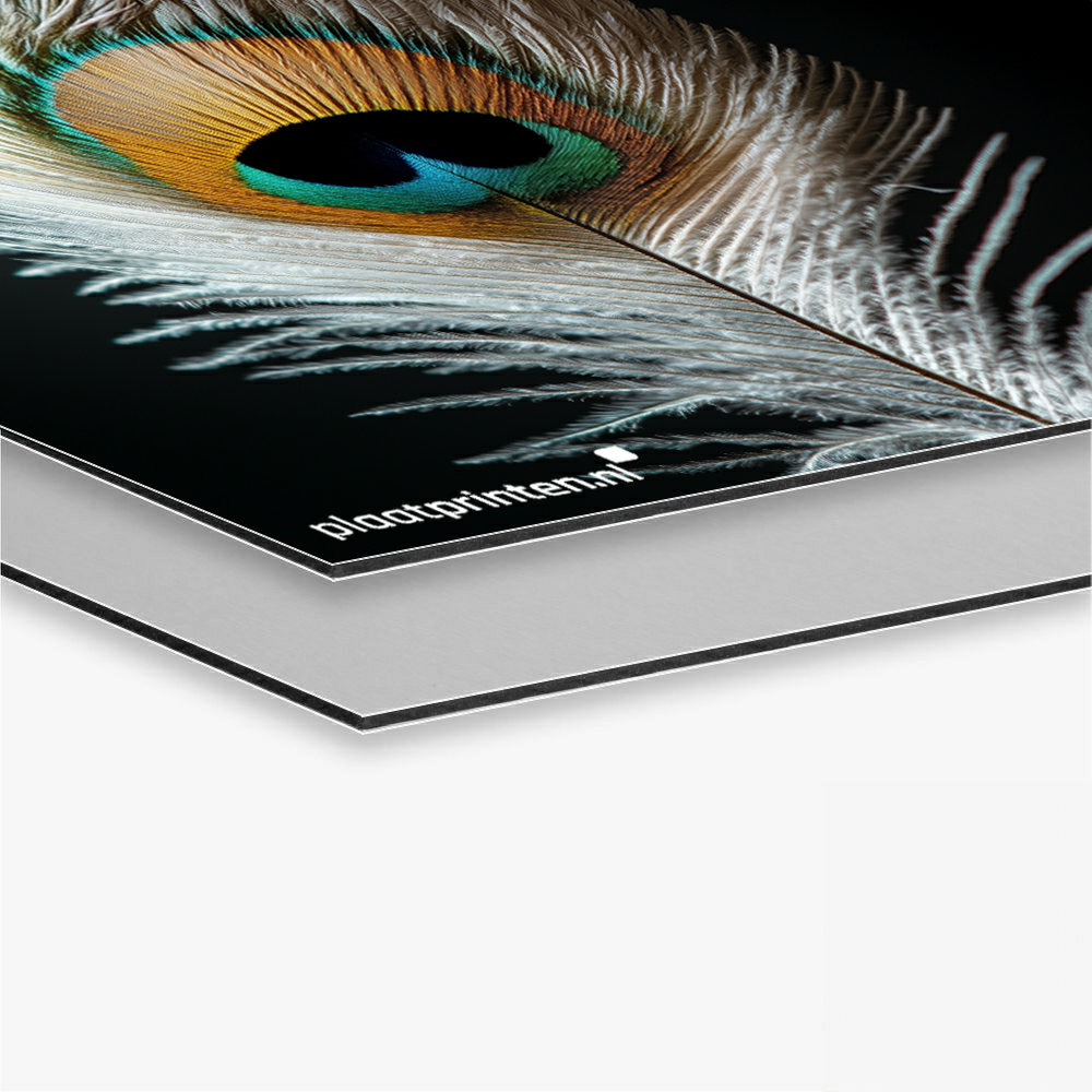 Product Dibond Brushed