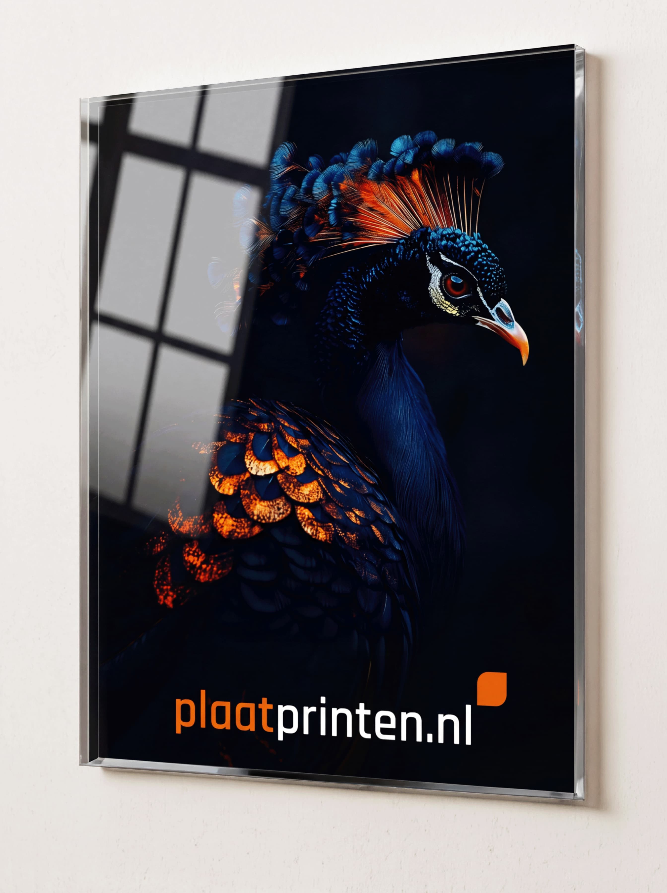Acrylaat (plexiglas)