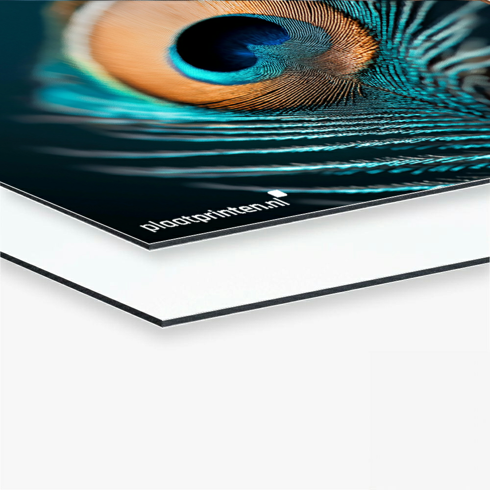 Product Dibond XXL