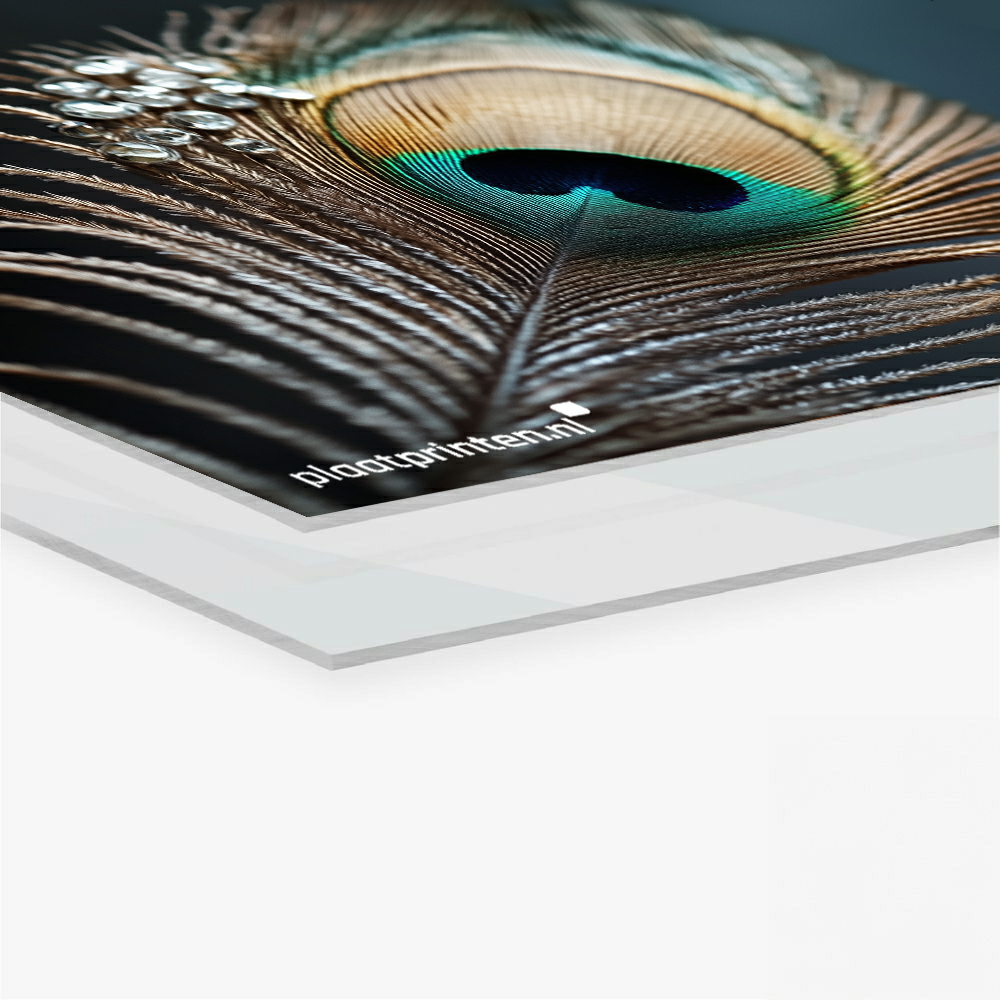 Product Acrylaat (plexiglas)