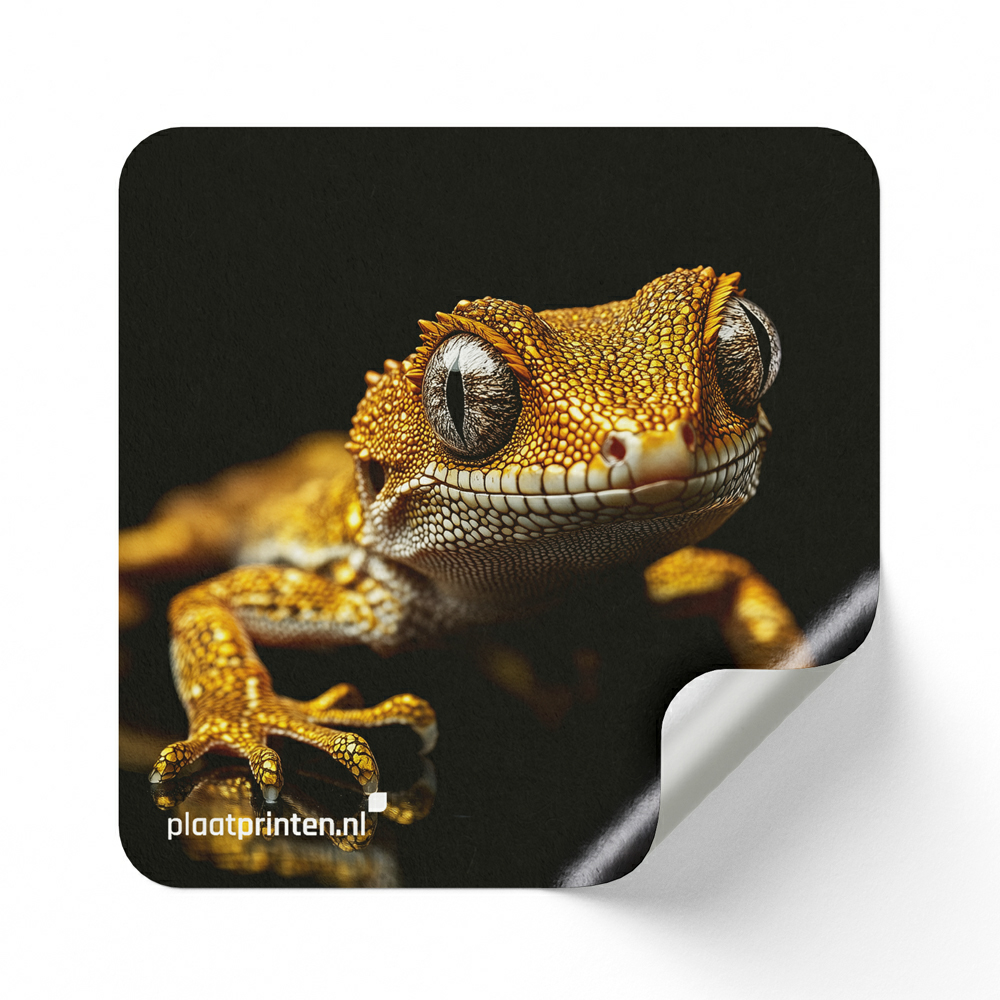 Raamsticker One Way Vision