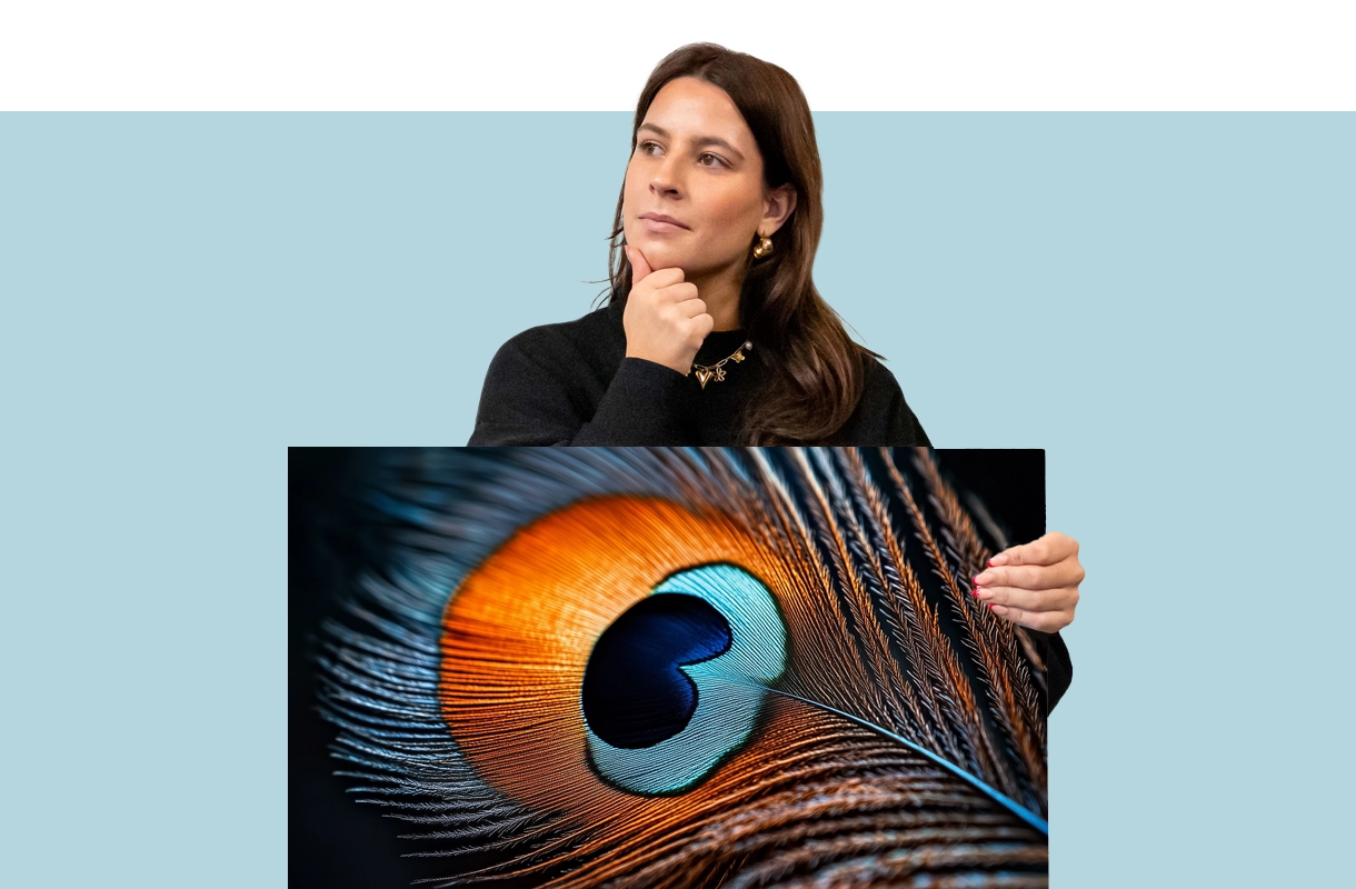 Blog Top 3 beste plaatmaterialen voor fotopanelen