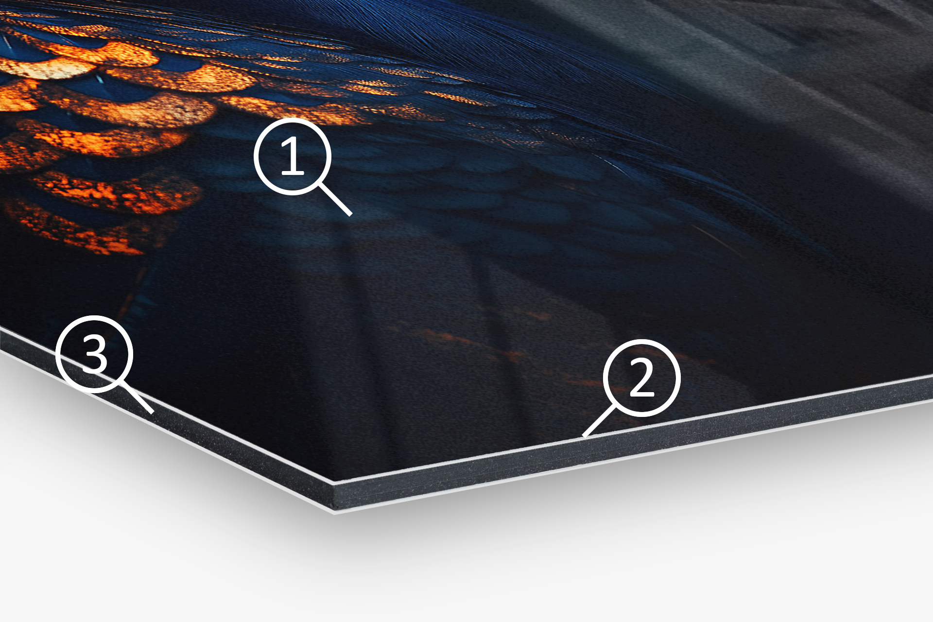 Verschillende lagen van het fotopaneel Brilliant Gloss