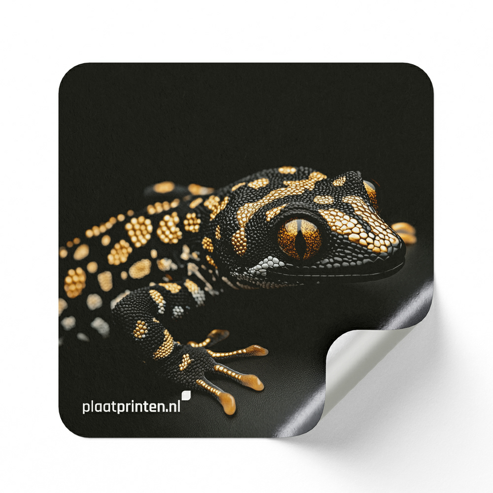 Vloersticker tijdelijk gebruik